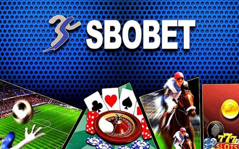 Trải nghiệm cá cược thắng lớn tại SBOBET