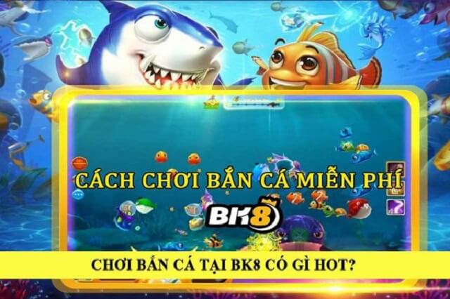 Vì sao nên chơi bắn cá tại Bk8