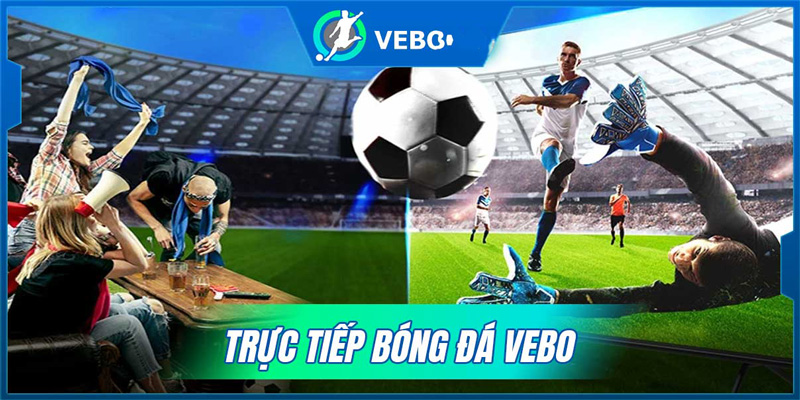 Sơ lược về link vebo