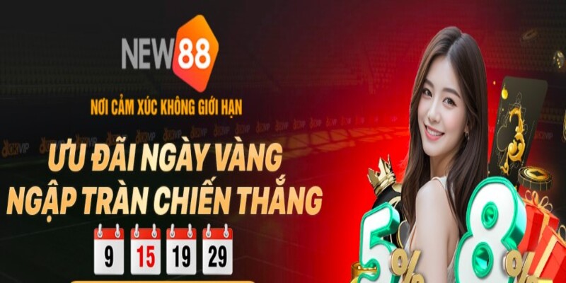 Tìm hiểu về nhà cái danh tiếng hàng đầu châu Á