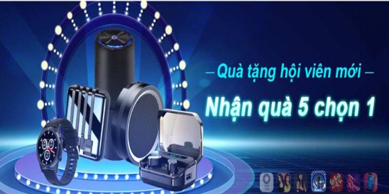 Làm thế nào để trở thành đại lý nhà cái Ku11? 