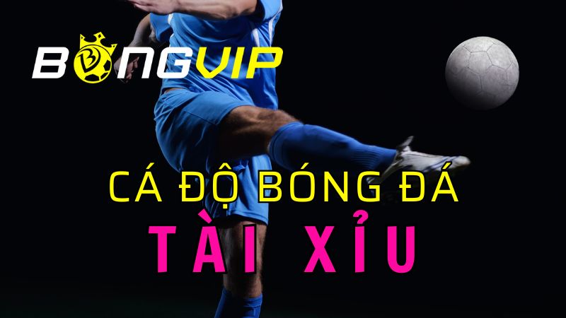 Cá độ bóng đá tài xỉu là gì?