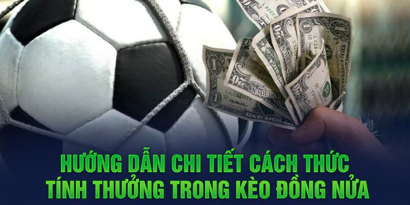 Hướng dẫn chi tiết cách thức tính thưởng trong kèo đồng nửa